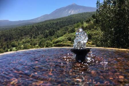 Villa Rural Faldas Del Teide Икод-де-лос-Винос Экстерьер фото