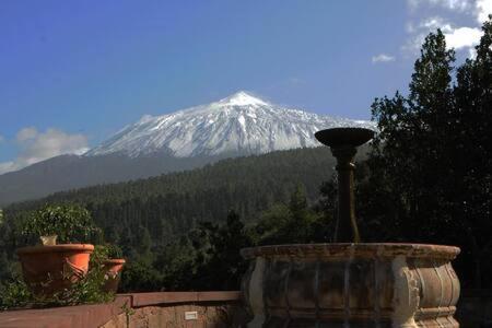 Villa Rural Faldas Del Teide Икод-де-лос-Винос Экстерьер фото