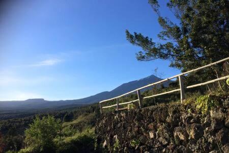 Villa Rural Faldas Del Teide Икод-де-лос-Винос Экстерьер фото
