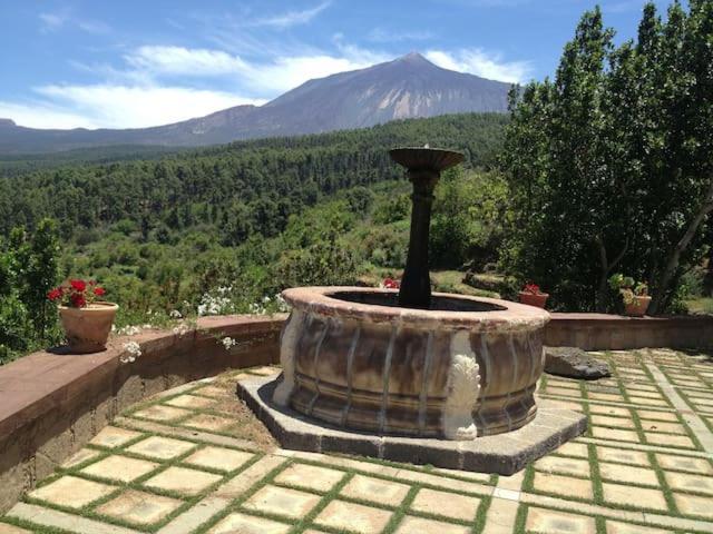 Villa Rural Faldas Del Teide Икод-де-лос-Винос Экстерьер фото